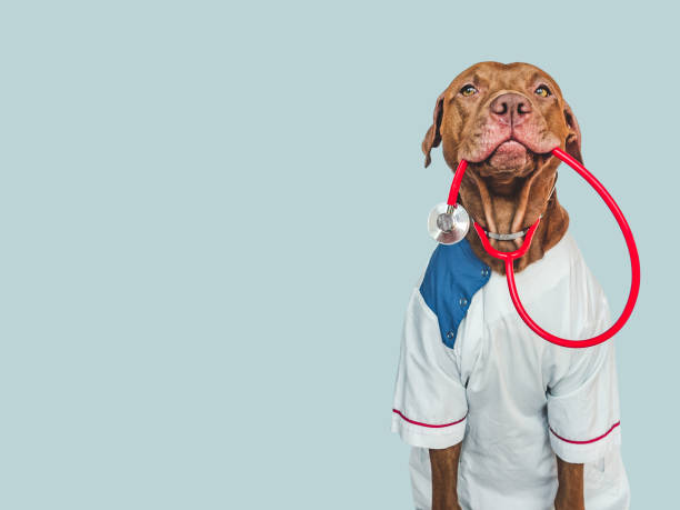 doctor's picture